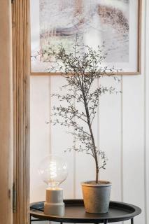 336 Harboøre - Hvilehjemsvej 23 - Harboør - 3