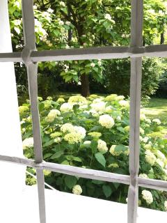Schloss mit eigenem Garten und Parkplatz - 9