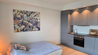 New studio apartment in Hamar 7th floor - 9