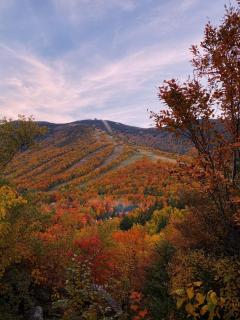 Fall Foliage Bank Nh Pav 10 Mins Pets Hiking - 5