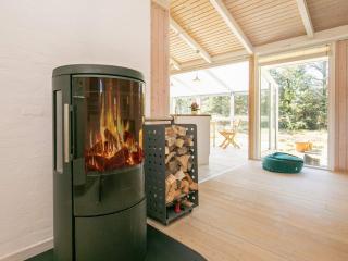 5 star holiday home in Strandby - 1