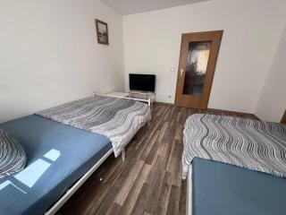 flat for 7 full kitchen Smart TV&WIFI 3 rooms - Zeitz - 9