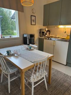 Kotoisa ja viihtyisä studio Aurora - Rovaniemi - 6