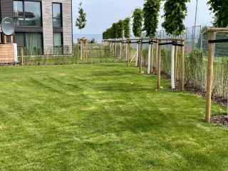 BeltBlick 14- Moderne Ferienwohnung direkt am Strand mit Sauna und Garten! - 6