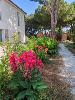 Podere Livrone - Appartamento Magona - 0