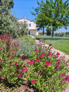 Podere Livrone - Appartamento Magona - 2