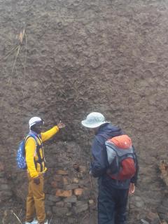 Green Pearl Adventures - 2