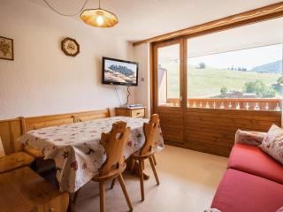Appartement 3***, proche pistes, exposition sud, garage, La Clusaz - FR-1-304-39 - 8