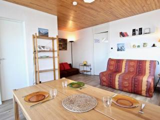 Appartement cosy pour 6 pers, balcon, pied des pistes, animaux ok - FR-1-340-3 - 0