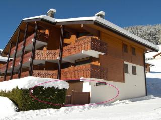 Appartement 2 pièces avec terrasse exposée sud, proche des pistes et commerces, garage inclus - FR-1-304-54 - 5