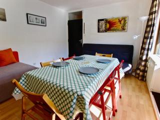 Studio 3 places à côté des pistes, commerces et ESF, balcon, animaux acceptés - FR-1-340-31 - Chamrousse - 3