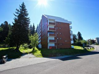 Studio de 19m², balcon sud, 3 couchages, Chamrousse 1750, proche pistes et commerces - FR-1-340-135 - 2