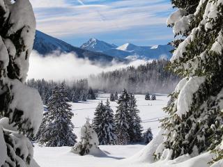 Studio Montagne au cœur de Chamrousse, 3* proche des pistes - FR-1-340-160 - Chamrousse - 1