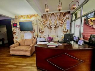 The Ambience Resort, Nainital - A Hidden Gem Away From City Hustle - Nainital - 8