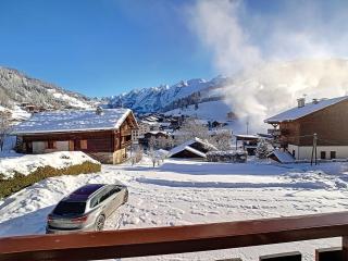 Studio cosy à La Clusaz - 4 pers, 27m², balcon - FR-1-818-106 - 1