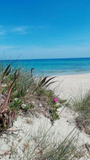 Una Civetta al Mare - 3