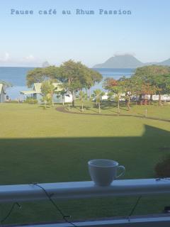 T3 Rhum Passion vue mer et rocher du Diamant dans célèbre Village de Vacances - 9