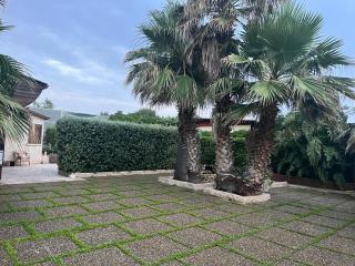 Una Civetta al Mare - 5