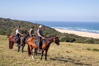 Oceana Beach and Wildlife Reserve - 9