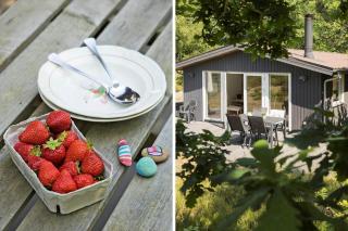 8857-Glesborg-Benzonstien-10 - 9