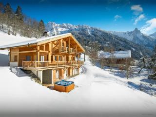 Chalet la Croix Meridionale - OVO Network - 3
