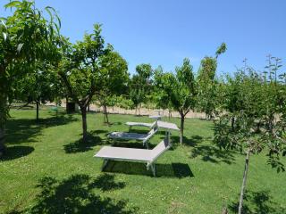 Apartment in Gatteo Mare near Beach - 6