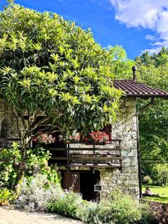 Casa del Sorriso - - 5