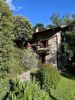 Casa del Sorriso - - 8