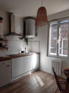 Cabane Jungle Appt 2p cosy calme Rouen fac - 1