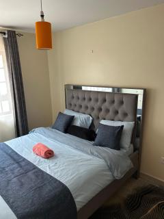 Tulia 1 BR apartment in Kasarani Nairobi with washing machine, lift , wifi, office desk and parking - 1