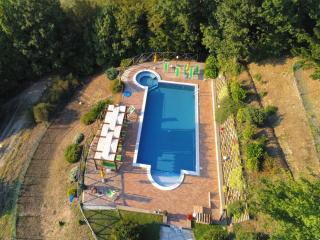 Pet-Friendly Retreat - 5