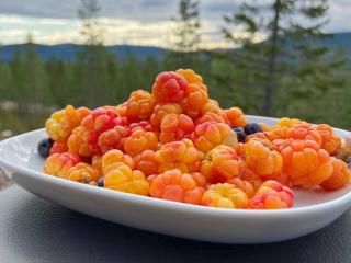 8 person holiday home in SÄLEN - Sälen - 9