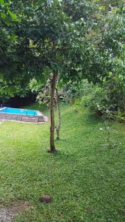 The Writer's Cottage - Kandy - 4
