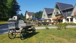 Hotel-Pension Rennsteighütte Frauenwald - 9