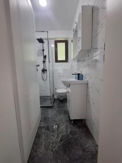 Cicoarei Apartment - Valea Adîncă - 8