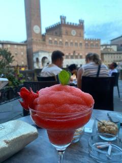 Terratetto - Siena - 6