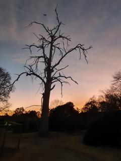 Acorns and Quackers Self Catering - 0