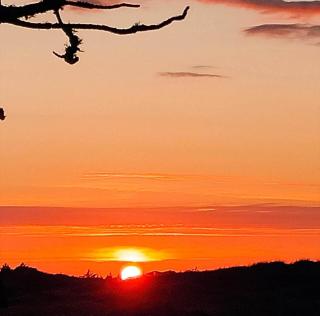 BL1225-Pandrup-Flaskehalsen-1 - 8