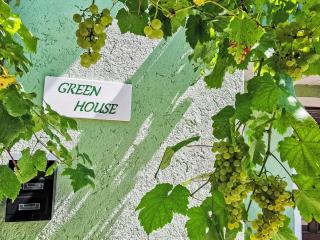 Apartment Green House-1 by Interhome - 8