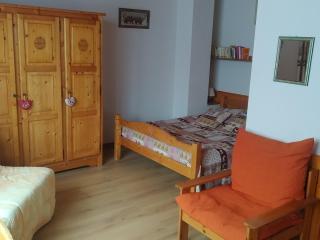 Appartement confortable pour 6 personnes, animaux admis - FR-1-263-172 - 3