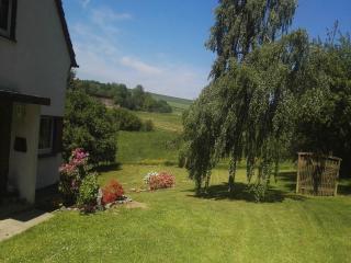 Forest Haven in Filz - 3