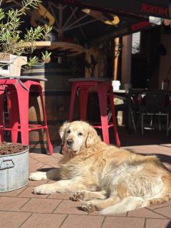 Les Chambres - Au Grès du marché - 6