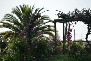 Estancia El Cangue - 6