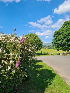 Brecon Beacons Lovely cottage with stunning views - Bwlch - 8