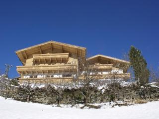 Chalet in Wald near Zillertal Arena - 9