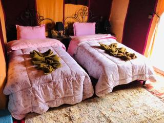 Luxury Desert Sahara Camp - 4
