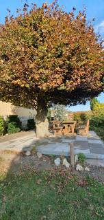 Altes Forsthaus - Gebsattel - 6
