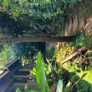 De cottages Entebbe - Nalugala - 3