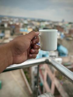 Nahargarh view Hotel - 1