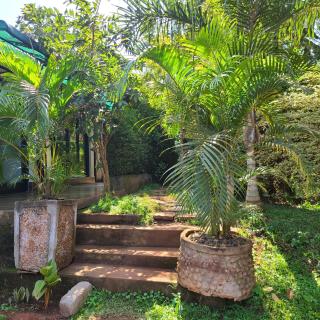 De cottages Entebbe - Nalugala - 9